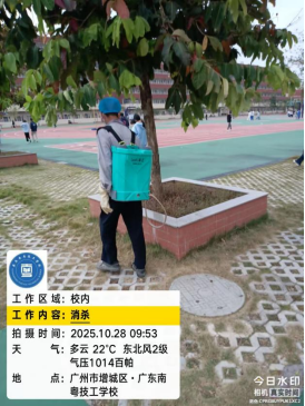 1772679462166809.png image.png