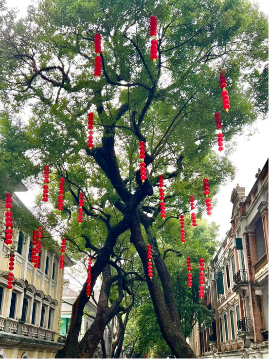 1773368977121452.png image.png