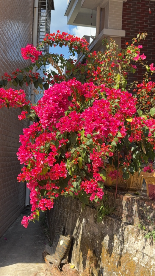 1773370241509177.png image.png