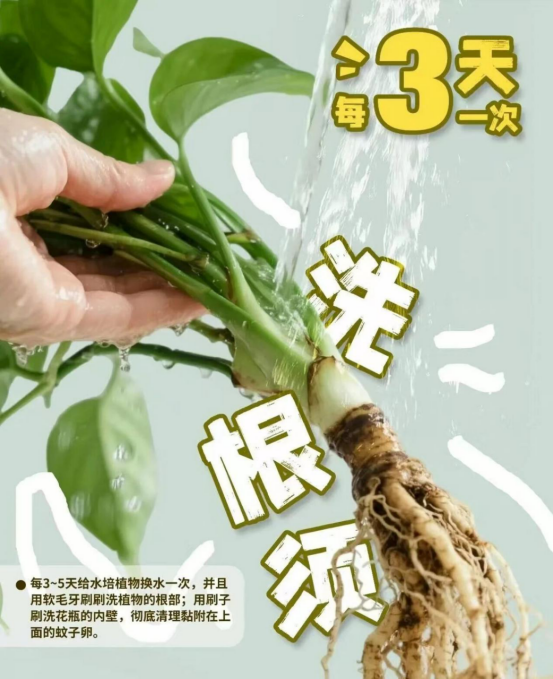 1773386732160040.png image.png