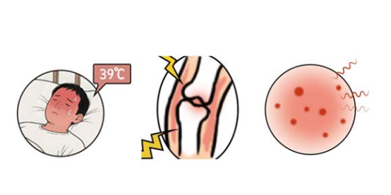 1774494970113735.png image.png