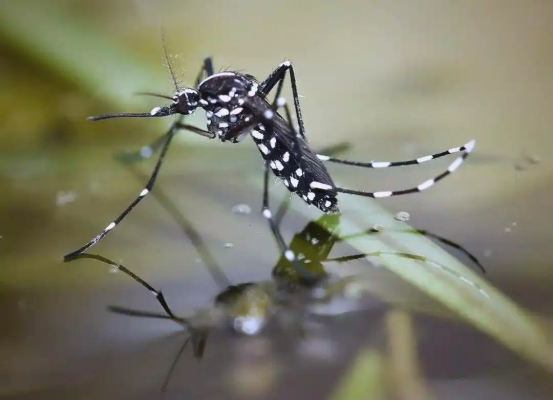 1774863652182834.png image.png