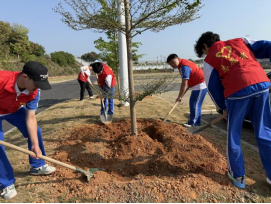 1774918926121531.png image.png