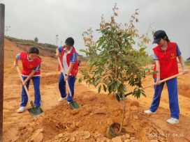 1774919114130608.png image.png