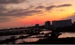 1775613962556011.png image.png