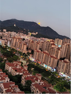 1775613979756978.png image.png