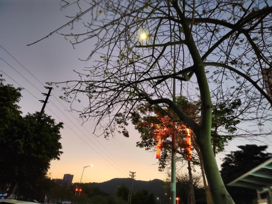 1775613986247025.png image.png