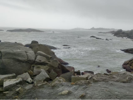 1775614000162360.png image.png