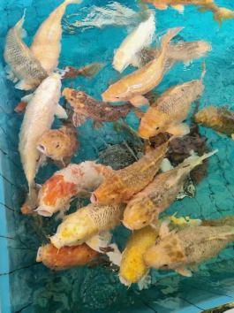 1775614050163223.png image.png