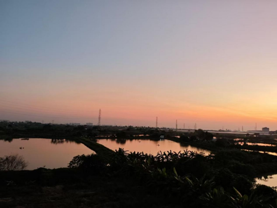 1775614246106163.png image.png