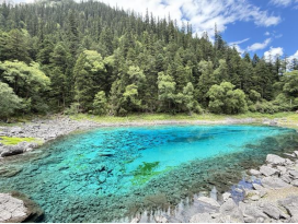 1775614261184340.png image.png