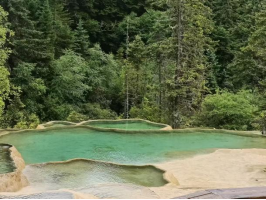 1775614291122123.png image.png