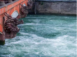 1775614295122422.png image.png