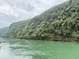 1775614346447456.png image.png