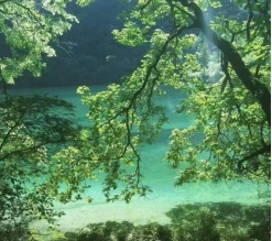 1775614356407450.png image.png