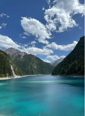 1775614383119166.png image.png