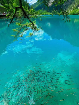 1775614386451980.png image.png