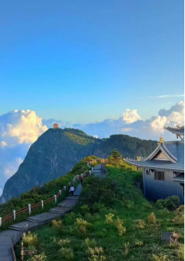 1775614411924571.png image.png