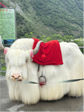 1775614415544898.png image.png