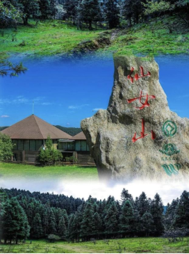 1775614426290151.png image.png