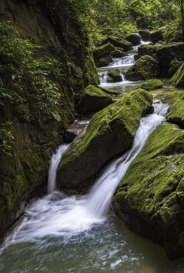 1775614438140884.png image.png