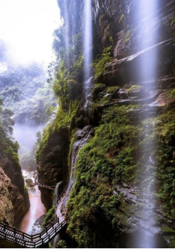 1775614447112933.png image.png