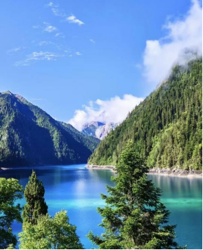 1775614451219794.png image.png