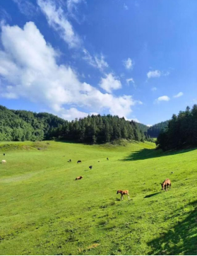 1775614468149591.png image.png