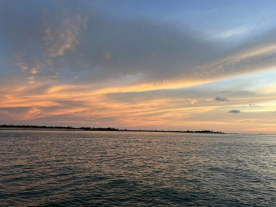 1775614802123191.png image.png