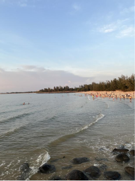 1775614855127337.png image.png