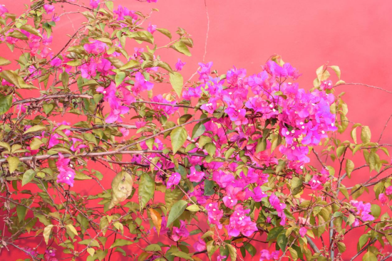 1775695577427048.png image.png