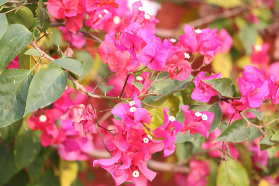 1775695597505674.png image.png