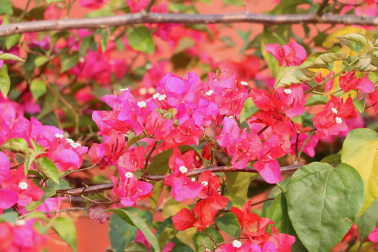 1775695611918069.png image.png