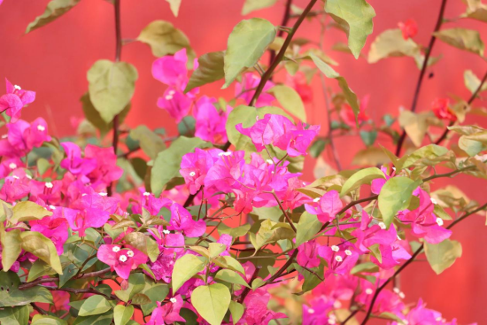 1775695629194530.png image.png