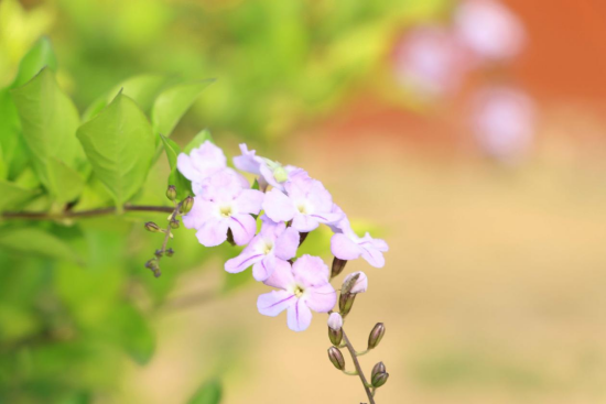 1775695643114797.png image.png