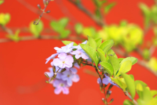 1775695665214576.png image.png