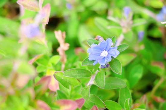 1775695674159373.png image.png